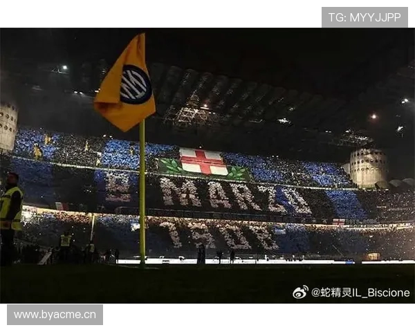 意甲球队主场球场内部设施与看台布局图集 意甲球队主场球场内部设施与看台布局图集