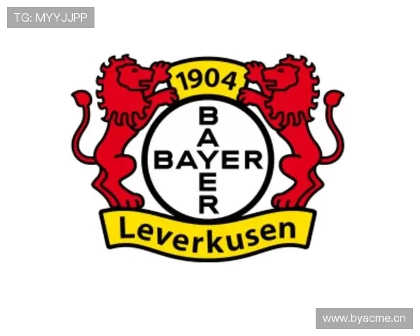 德甲球队队徽的演变过程及背后文化意义